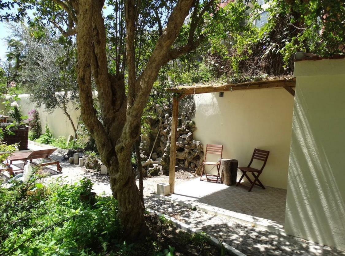Graca Palace With Private Pool Garden Apartment Lissabon